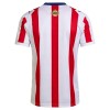 Koszulka Chivas de Guadalajara 120th Anniversary 2025-26 Koszulki Piłkarskie Krótki Rękaw