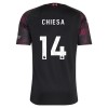 Koszulka Liverpool Chiesa 14 Trzeci 2026-27 Koszulki Piłkarskie Krótki Rękaw Koszulka Liverpool Chiesa 14 Trzeci 2026-27 Koszulki Piłkarskie Krótki Rękaw